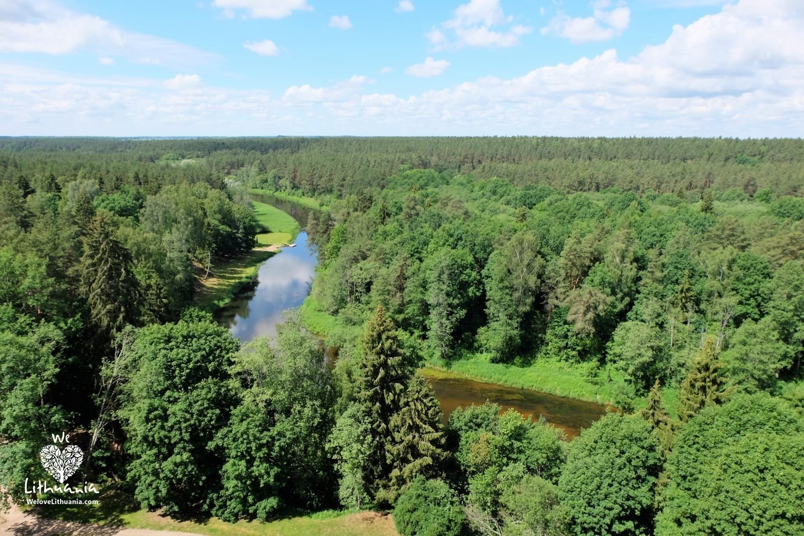 Anykščių šilelis
