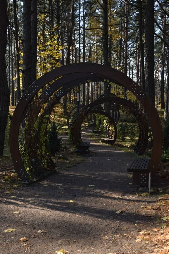 Druskininkų atsinaujinęs parkas, kurį verta aplankyt kiekvienam.