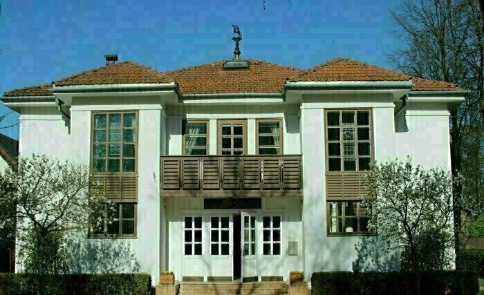 Vila šilelis