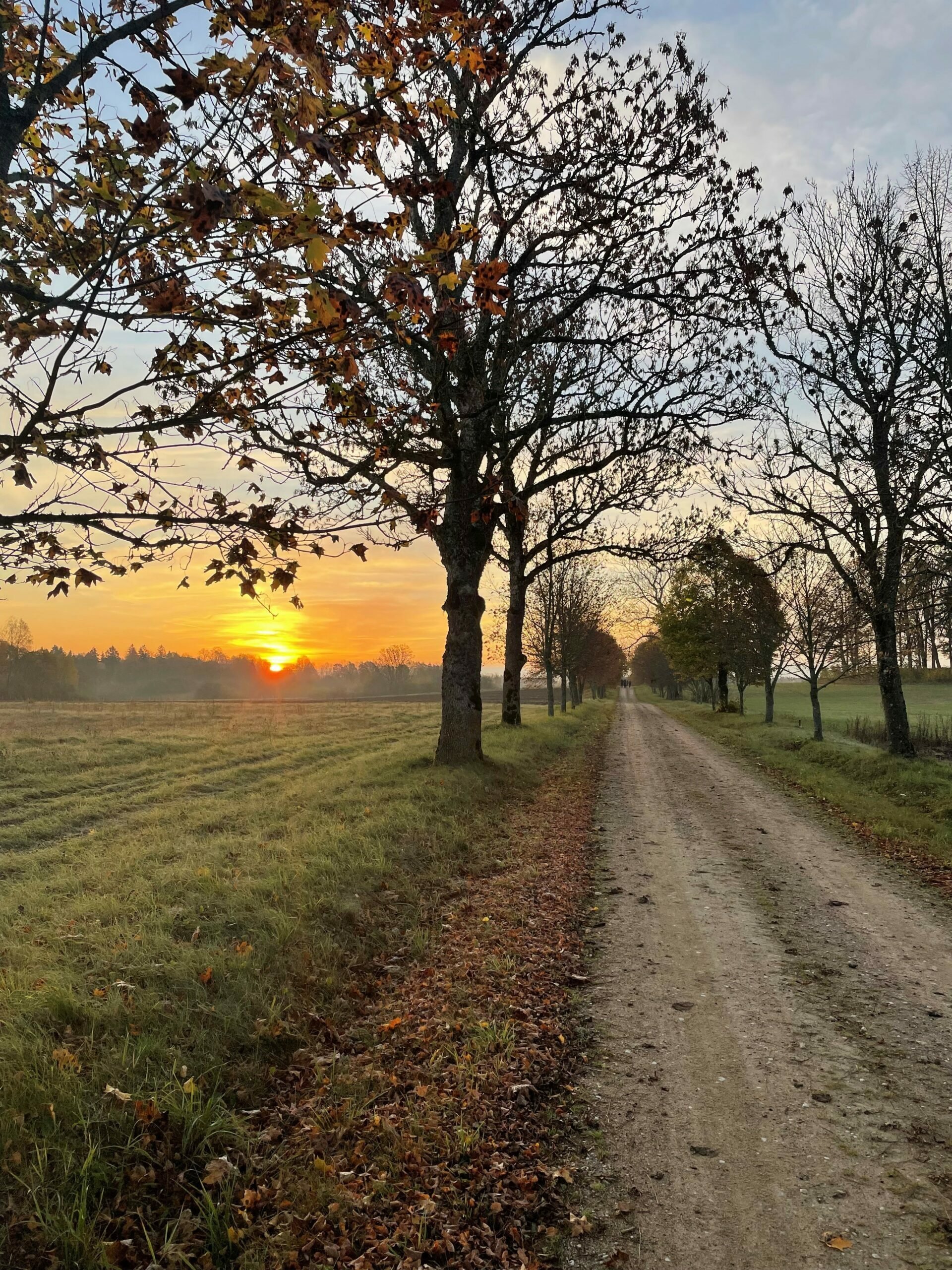 Camino Lituano