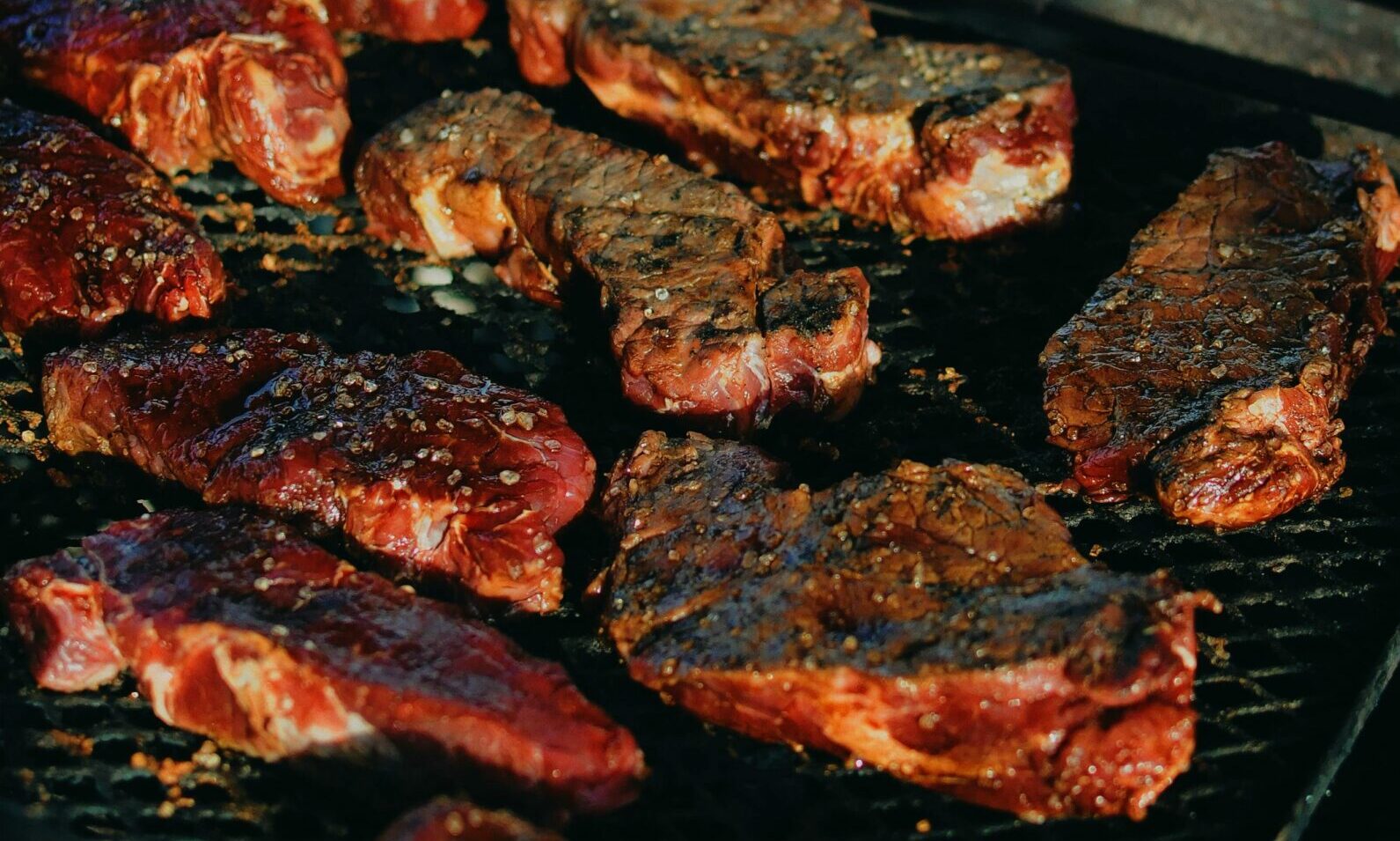 Mėsėdžių dieta