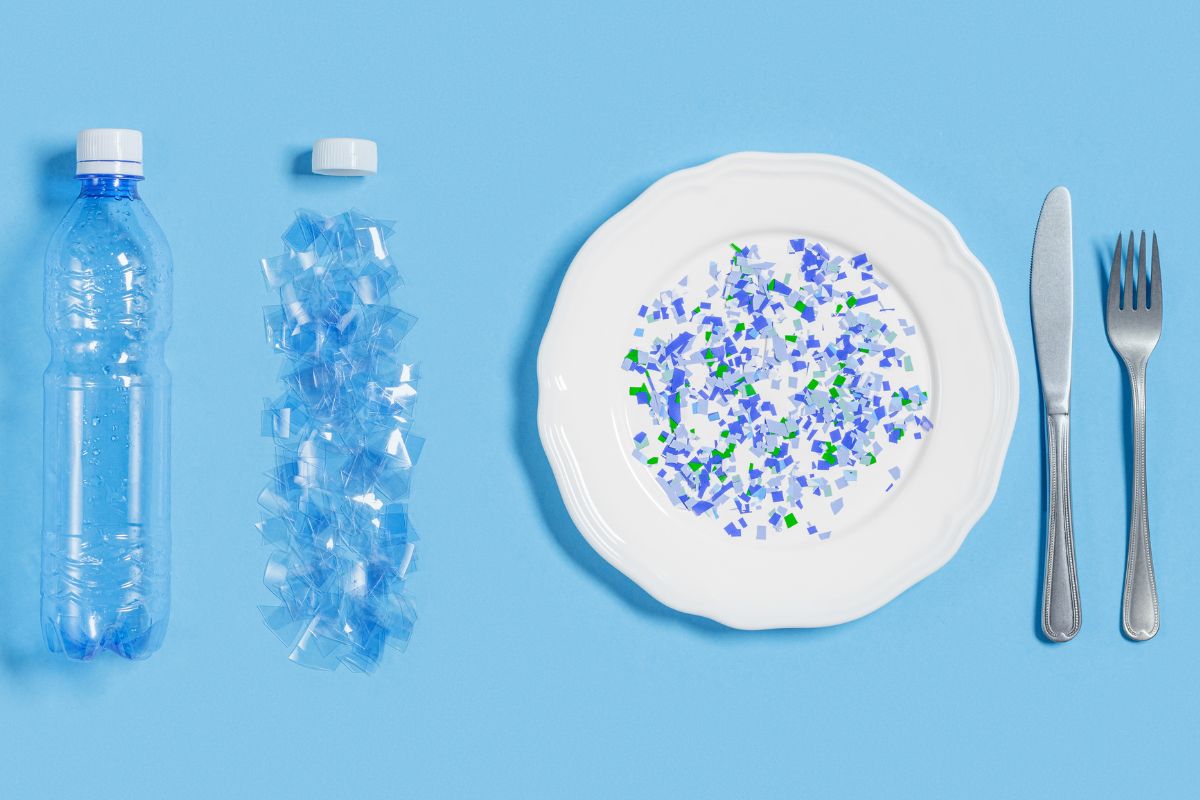 Kasdien naudojami dalykai, kurie lėtai mus žudo: mikroplastikas mūsų maiste, vandenyje ir netgi mumyse