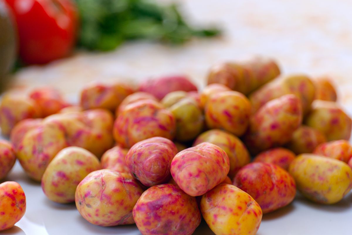 Gumbinis kiškiakopūstis – Andų lobis, atstojantis bulves