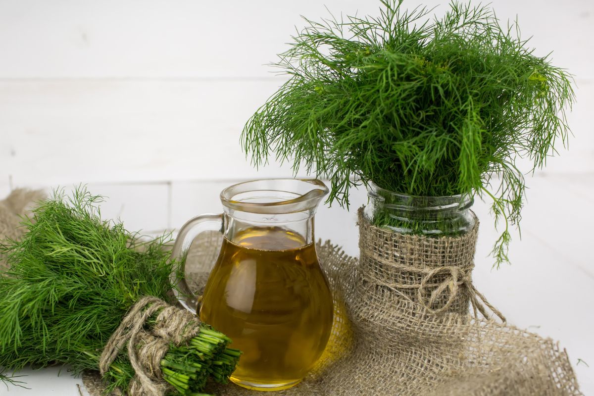 Krapai žiemai: kaip išsaugoti vasaros aromatą ištisus metus?