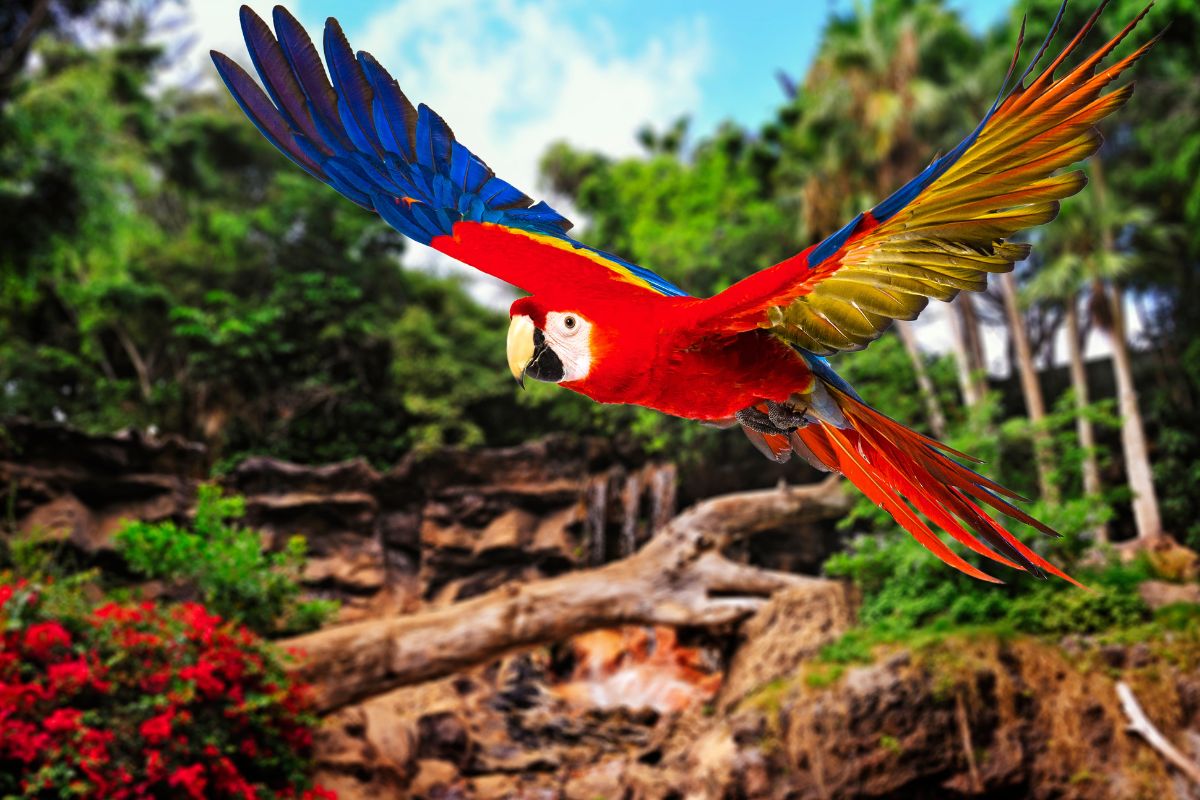 TOP 5 geriausi zoologijos sodai Europoje