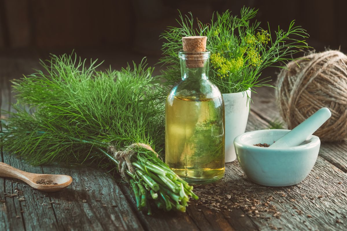 Krapai žiemai: kaip išsaugoti vasaros aromatą ištisus metus?