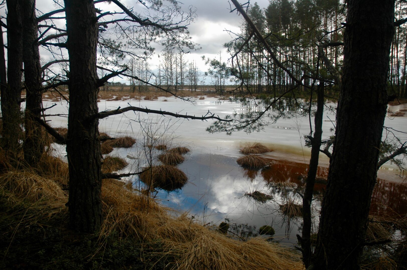 Čepkelių mokomasis takas
